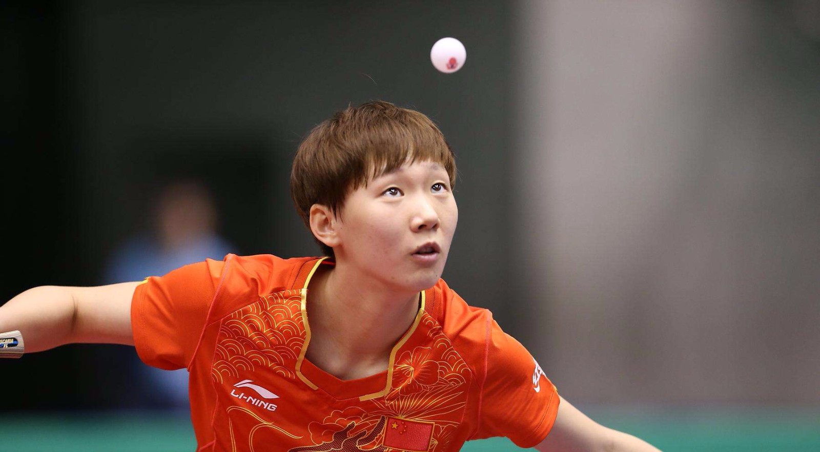 球迷与公众 球迷与公众