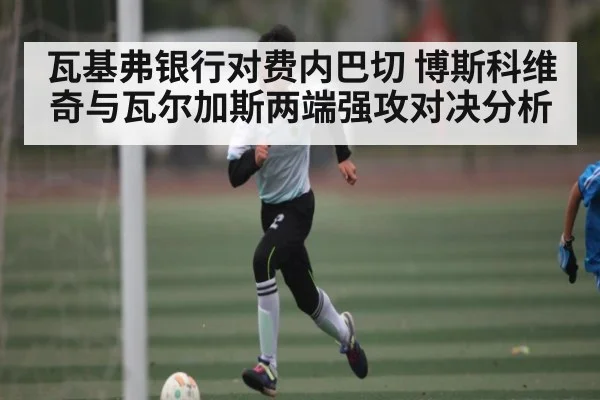 瓦基弗银行对费内巴切 博斯科维奇与瓦尔加斯两端强攻对决分析